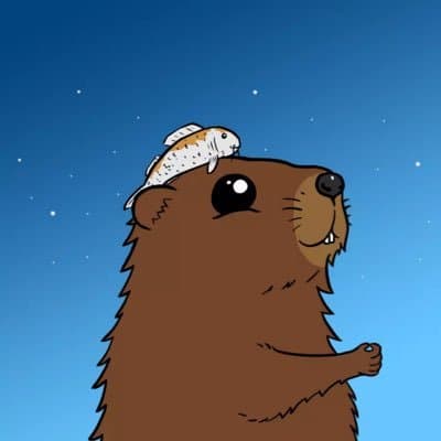 MarmotWifFish avatar